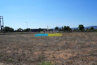 Αγροτεμάχια 5.000 τ.μ. για ενοικίαση, Αργολίδα, Άργος-thumb-9