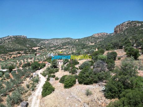 Land plot 880sqm for sale-Argos