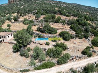 Οικόπεδο 880 τ.μ. για πώληση, Αργολίδα, Άργος-thumb-4