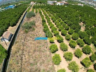 Αγροτεμάχια 793 τ.μ. για πώληση, Αργολίδα, Άργος-thumb-1