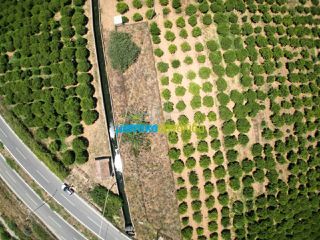 Αγροτεμάχια 793 τ.μ. για πώληση, Αργολίδα, Άργος-thumb-4