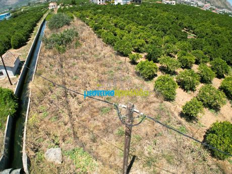 Αγροτεμάχια 793 τ.μ. για πώληση