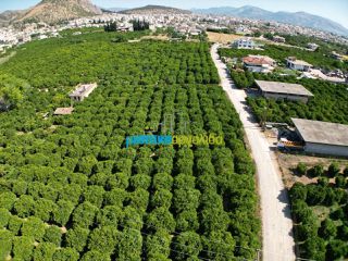 Οικόπεδο 2.800 τ.μ. για πώληση, Αργολίδα, Άργος-thumb-7