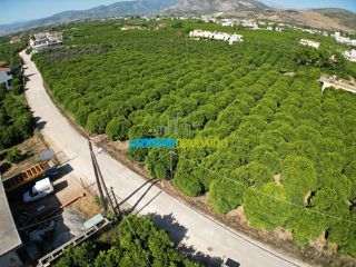 Οικόπεδο 2.800 τ.μ. για πώληση, Αργολίδα, Άργος-thumb-4