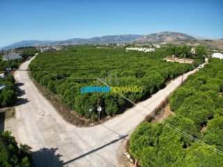Οικόπεδο 2.800 τ.μ. για πώληση, Αργολίδα, Άργος-thumb-12