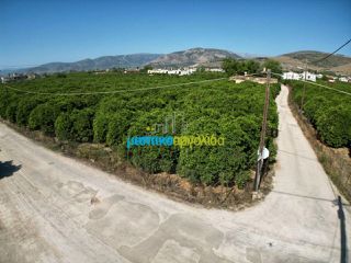 Οικόπεδο 5.600 τ.μ. για πώληση, Αργολίδα, Άργος-thumb-14