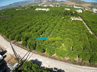 Οικόπεδο 5.600 τ.μ. για πώληση, Αργολίδα, Άργος-thumb-3