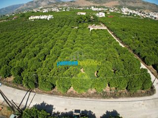 Οικόπεδο 5.600 τ.μ. για πώληση, Αργολίδα, Άργος-thumb-2