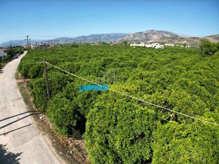 Οικόπεδο 5.600 τ.μ. για πώληση, Αργολίδα, Άργος-thumb-17