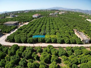 Οικόπεδο 5.600 τ.μ. για πώληση, Αργολίδα, Άργος-thumb-10