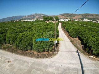 Οικόπεδο 5.600 τ.μ. για πώληση, Αργολίδα, Άργος-thumb-15
