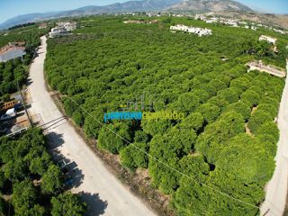 Οικόπεδο 5.600 τ.μ. για πώληση, Αργολίδα, Άργος-thumb-1