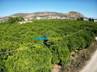 Οικόπεδο 5.600 τ.μ. για πώληση, Αργολίδα, Άργος-thumb-18