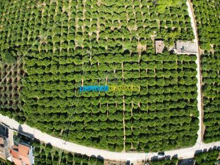Οικόπεδο 5.600 τ.μ. για πώληση, Αργολίδα, Άργος-thumb-8