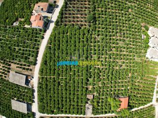 Οικόπεδο 5.600 τ.μ. για πώληση, Αργολίδα, Άργος-thumb-9