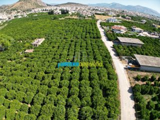 Οικόπεδο 5.600 τ.μ. για πώληση, Αργολίδα, Άργος-thumb-7