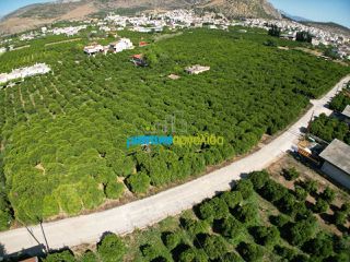 Οικόπεδο 5.600 τ.μ. για πώληση, Αργολίδα, Άργος-thumb-5