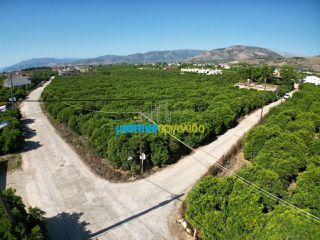 Οικόπεδο 5.600 τ.μ. για πώληση, Αργολίδα, Άργος-thumb-12