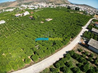 Οικόπεδο 5.600 τ.μ. για πώληση, Αργολίδα, Άργος-thumb-6