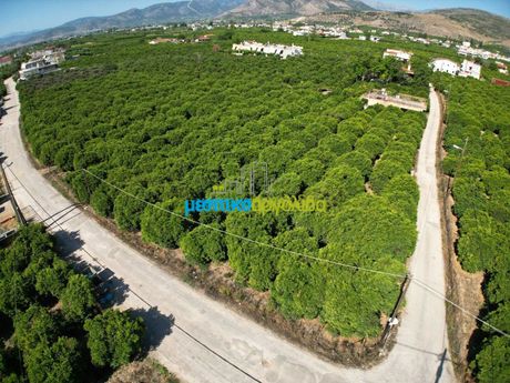 Οικόπεδο 5.600 τ.μ. για πώληση