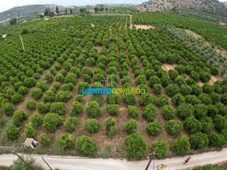 Οικόπεδο 4.637 τ.μ. προς πώληση, Αγία Κυριακή Ναυπλίου-thumb-9