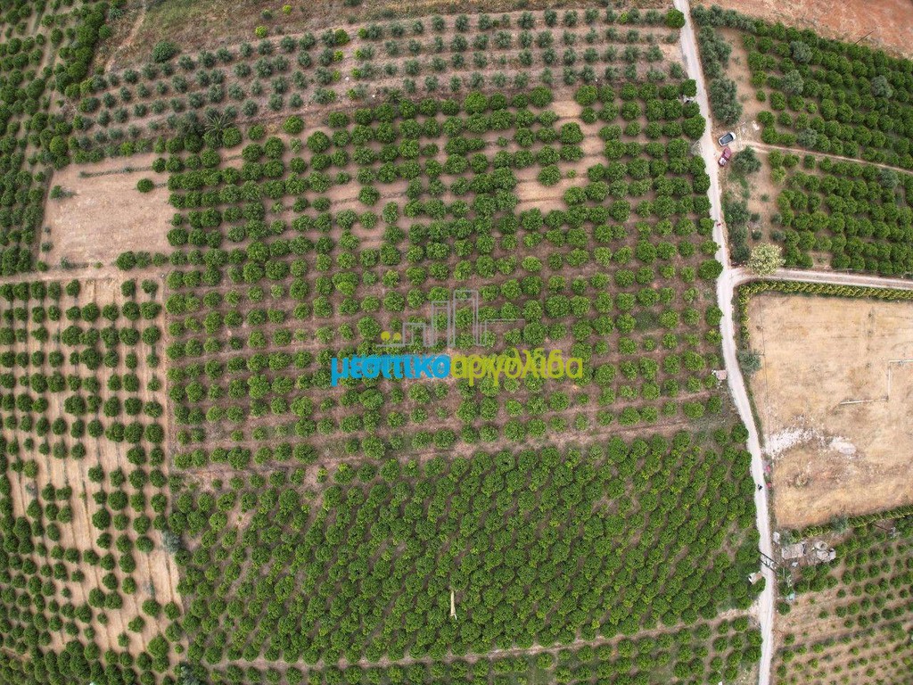 Οικόπεδο 4.637 τ.μ. προς πώληση, Αγία Κυριακή Ναυπλίου