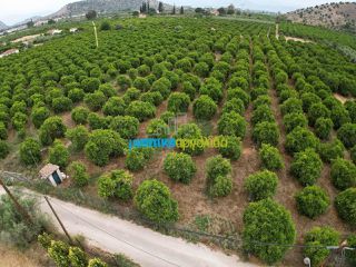 Οικόπεδο 4.637 τ.μ. προς πώληση, Αγία Κυριακή Ναυπλίου-thumb-10