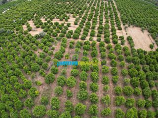 Οικόπεδο 4.637 τ.μ. προς πώληση, Αγία Κυριακή Ναυπλίου-thumb-1