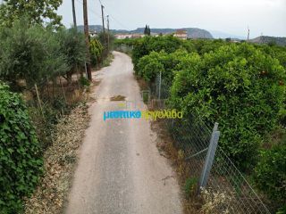 Οικόπεδο 4.637 τ.μ. προς πώληση, Αγία Κυριακή Ναυπλίου-thumb-12