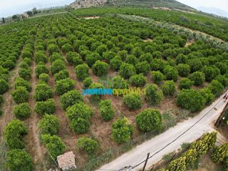 Οικόπεδο 4.637 τ.μ. προς πώληση, Αγία Κυριακή Ναυπλίου-thumb-11
