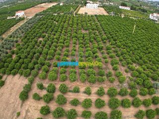 Οικόπεδο 4.637 τ.μ. προς πώληση, Αγία Κυριακή Ναυπλίου-thumb-2