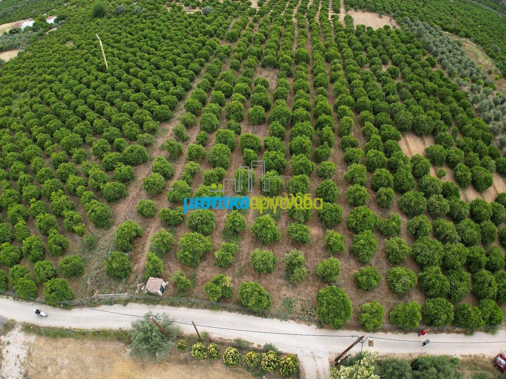 Οικόπεδο 4.637 τ.μ. προς πώληση, Αγία Κυριακή Ναυπλίου