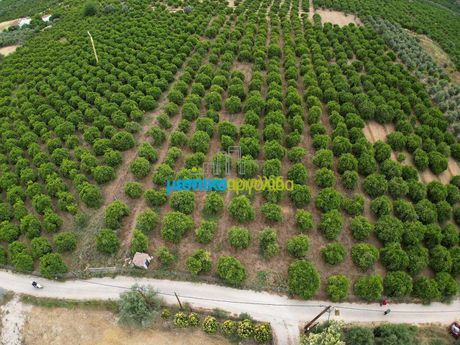 Οικόπεδο 4.637 τ.μ. για πώληση