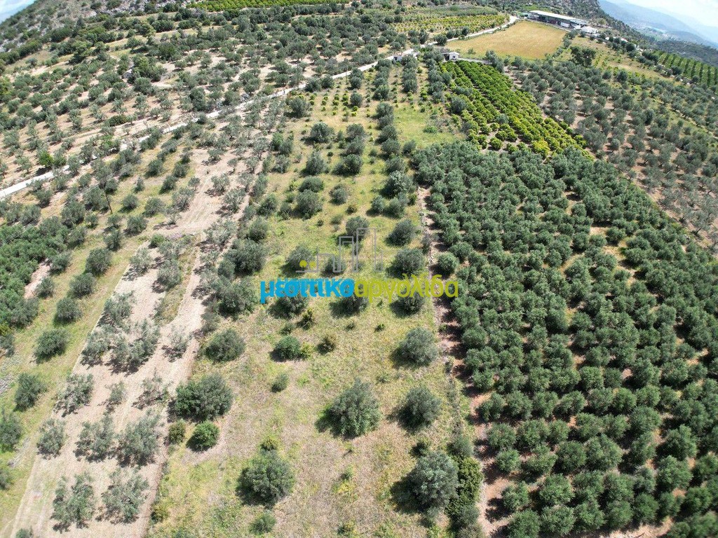 Αγροτεμάχια 9.000 τ.μ. προς πώληση, Αγία Παρασκευή Ασίνης