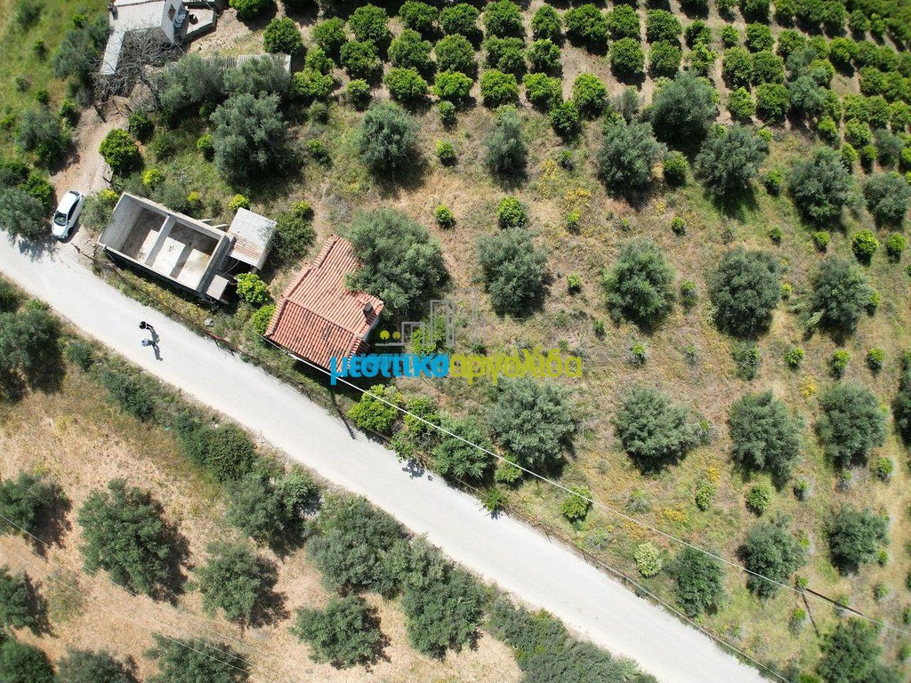 Αγροτεμάχια 9.000 τ.μ. προς πώληση, Αγία Παρασκευή Ασίνης
