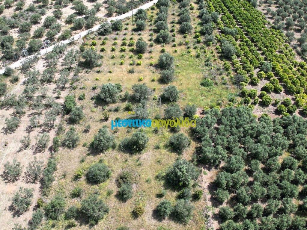 Αγροτεμάχια 9.000 τ.μ. προς πώληση, Αγία Παρασκευή Ασίνης