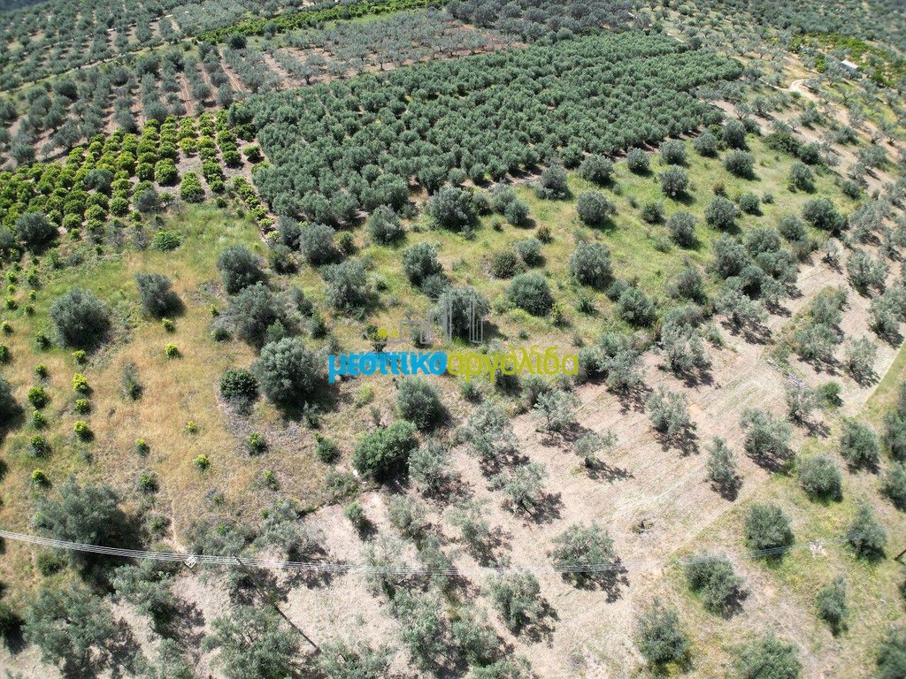 Αγροτεμάχια 9.000 τ.μ. προς πώληση, Αγία Παρασκευή Ασίνης