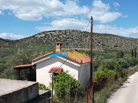 Αγροτεμάχια 9.000 τ.μ. για πώληση