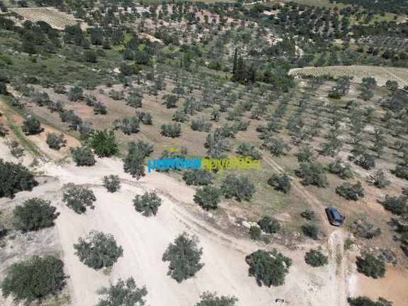 Αγροτεμάχια 47.000 τ.μ. για πώληση, Αργολίδα, Λύρκεια
