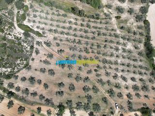 Αγροτεμάχια 47.000 τ.μ. για πώληση, Αργολίδα, Λύρκεια-thumb-8