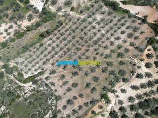 Αγροτεμάχια 47.000 τ.μ. για πώληση, Αργολίδα, Λύρκεια-thumb-5