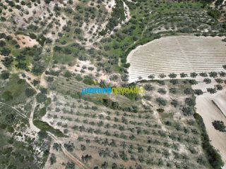 Αγροτεμάχια 47.000 τ.μ. για πώληση, Αργολίδα, Λύρκεια-thumb-7