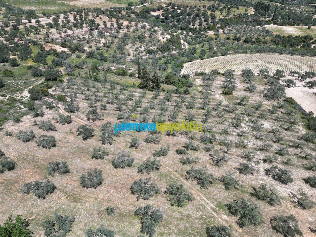 Αγροτεμάχια 47.000 τ.μ. προς πώληση, Λύρκεια
