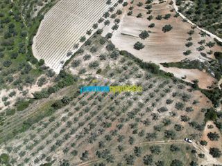 Αγροτεμάχια 47.000 τ.μ. για πώληση, Αργολίδα, Λύρκεια-thumb-6
