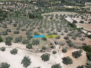 Αγροτεμάχια 47.000 τ.μ. για πώληση, Αργολίδα, Λύρκεια-thumb-1