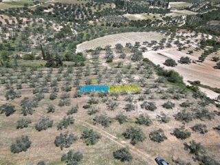 Αγροτεμάχια 47.000 τ.μ. για πώληση, Αργολίδα, Λύρκεια-thumb-3