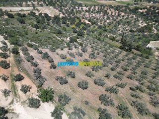 Αγροτεμάχια 47.000 τ.μ. για πώληση, Αργολίδα, Λύρκεια-thumb-2
