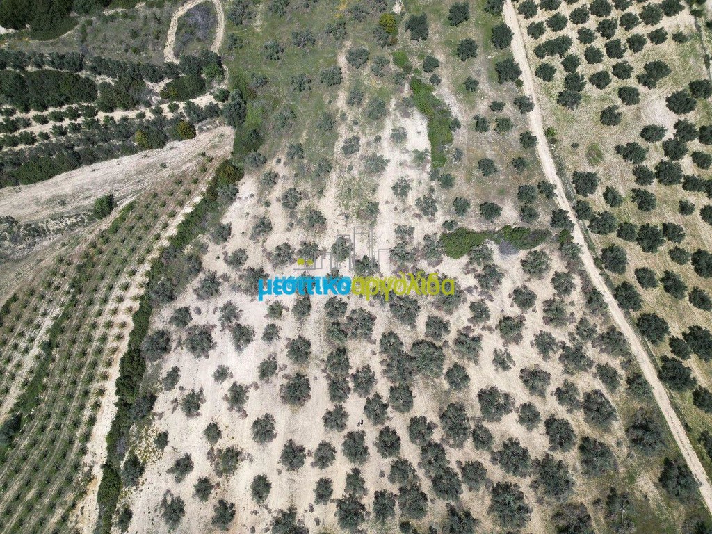 Αγροτεμάχια 31.500 τ.μ. προς πώληση, Μαλαντρένι