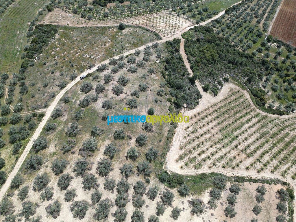 Αγροτεμάχια 31.500 τ.μ. προς πώληση, Μαλαντρένι