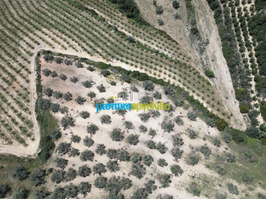 Αγροτεμάχια 31.500 τ.μ. προς πώληση, Μαλαντρένι